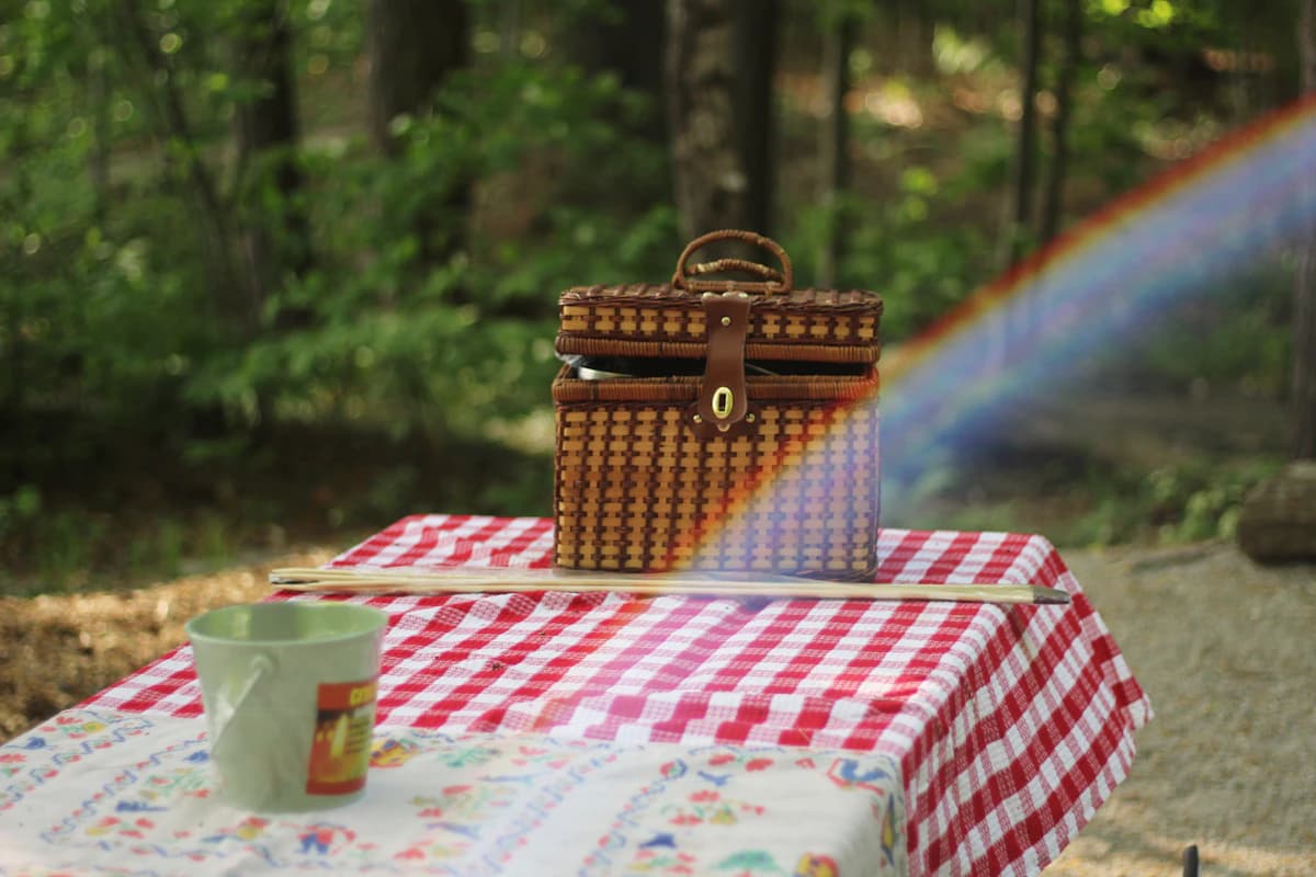 A picnic basket and cups on a checked tablecloth among trees